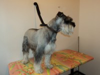 /album/fotos/de-todo-084-jpg/